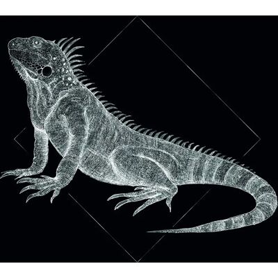 KOMAR Iguana Black - Állat Poszter - 70cm x 50cm KOMAR Iguana Black - Állat Poszter - 70cm x 50cm