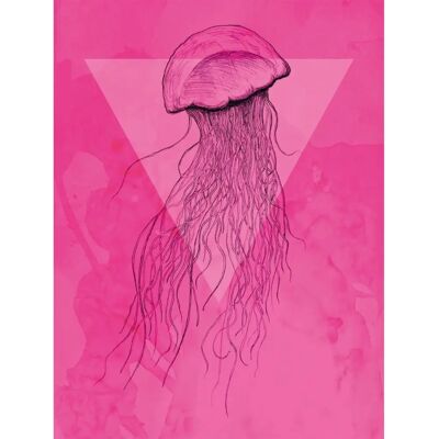 KOMAR - Jellyfish Pink Poster - bunt KOMAR - Jellyfish Pink Poster - bunt