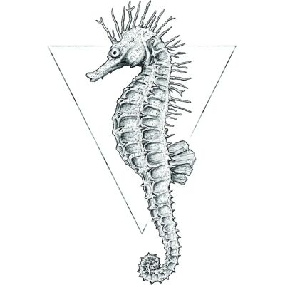 KOMAR Seepferdchen Weiß Silber Poster - Tierdeko KOMAR Seepferdchen Weiß Silber Poster - Tierdeko