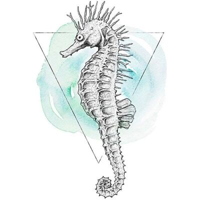 KOMAR - Sea Horse Watercolor - 40x50 cm - bunt - Poster KOMAR - Sea Horse Watercolor - 40x50 cm - bunt - Poster