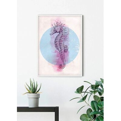 KOMAR Seepferdchen Kreis Bunt Poster - Innenbereich KOMAR Seepferdchen Kreis Bunt Poster - Innenbereich