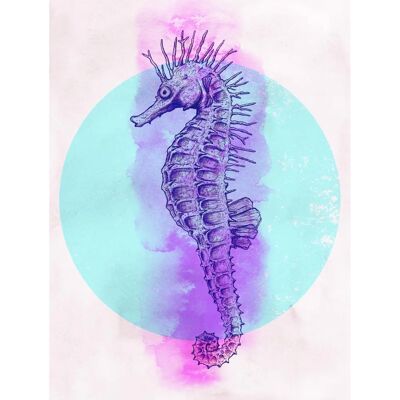 KOMAR - Sea Horse Circle - 30x40 cm - Bunt - Poster KOMAR - Sea Horse Circle - 30x40 cm - Bunt - Poster