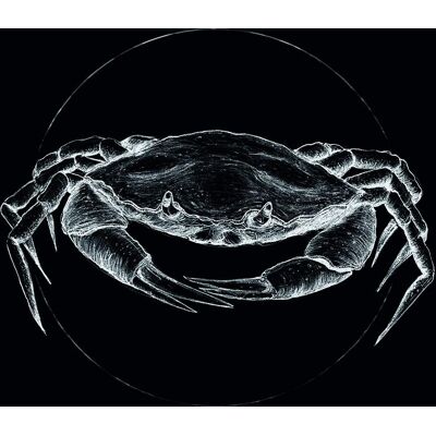 KOMAR Crab Black - Animaux, Chambre d'enfants, Chambre, Salon - Affiche KOMAR Crab Black - Animaux, Chambre d'enfants, Chambre, Salon - Affiche