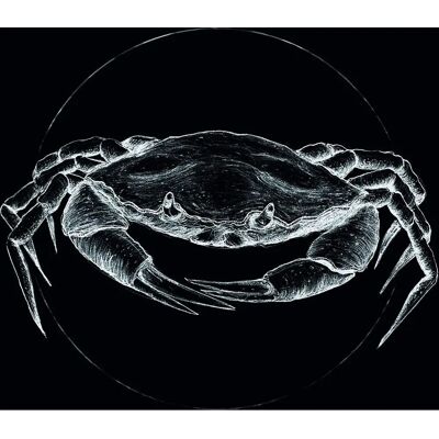 KOMAR - Crab Black - 30x40 cm - Poster KOMAR - Crab Black - 30x40 cm - Poster