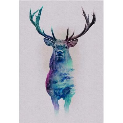 KOMAR Poster Waldtiere Hirsch - 50x70cm - Kinderzimmer, Schlafzimmer, Wohnzimmer KOMAR Poster Waldtiere Hirsch - 50x70cm - Kinderzimmer, Schlafzimmer, Wohnzimmer