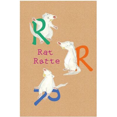 KOMAR ABC Animal R Bunt Poster - Poster KOMAR ABC Animal R Bunt Poster - Poster