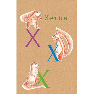 KOMAR ABC Animal T Bunt Poster - Poster KOMAR ABC Animal T Bunt Poster - Poster