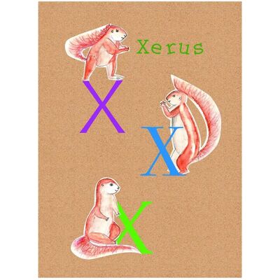KOMAR ABC Animal T Bunt Poster - Poster KOMAR ABC Animal T Bunt Poster - Poster