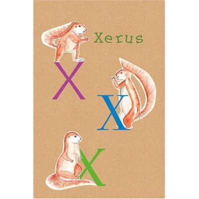 KOMAR - ABC Animal T - Bunt - 30x40 cm - Poster KOMAR - ABC Animal T - Bunt - 30x40 cm - Poster
