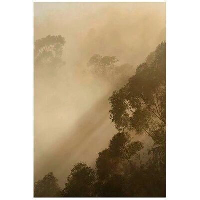 KOMAR Golden Light Bunt Poster - Poster KOMAR Golden Light Bunt Poster - Poster