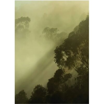 KOMAR - Golden Light - 30x40 cm - Mehrfarbig - Poster KOMAR - Golden Light - 30x40 cm - Mehrfarbig - Poster