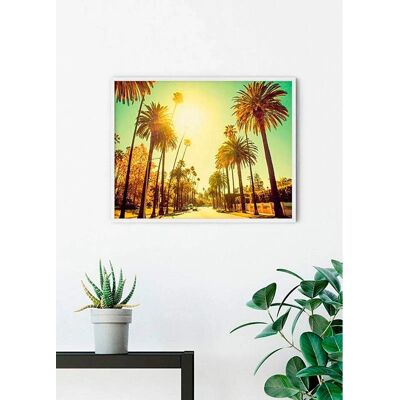Poster colorato Palm Alley di KOMAR - Poster Poster colorato Palm Alley di KOMAR - Poster