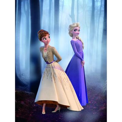 Affiche enfant KOMAR Frozen Wood Walk - Affiche - Publicité Affiche enfant KOMAR Frozen Wood Walk - Affiche - Publicité