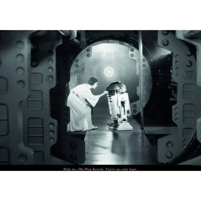 Plakat Star Wars Leia R2D2 z KOMAR - Sztuka do wnętrza Plakat Star Wars Leia R2D2 z KOMAR - Sztuka do wnętrza