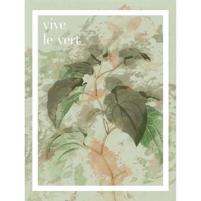 KOMAR - Vive le vert - Grün - 30x40 cm - Wandbild KOMAR - Vive le vert - Grün - 30x40 cm - Wandbild