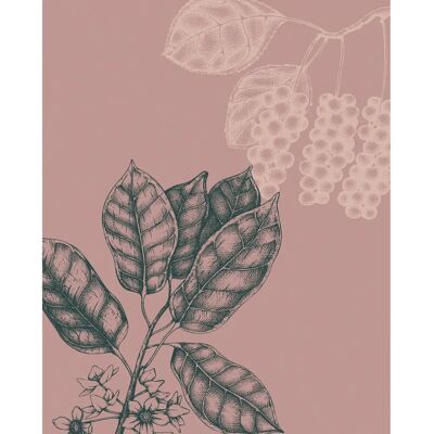 KOMAR Wild Berry Rosa Wandbild - Wandbild KOMAR Wild Berry Rosa Wandbild - Wandbild