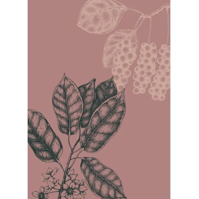 KOMAR Wild Berry Pink Wandbild - Wandbild KOMAR Wild Berry Pink Wandbild - Wandbild