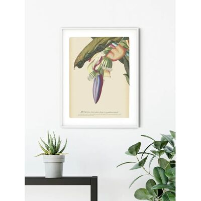 KOMAR Banana Heart Plakat - Jasne, Trwałe, Niemiecki Design KOMAR Banana Heart Plakat - Jasne, Trwałe, Niemiecki Design