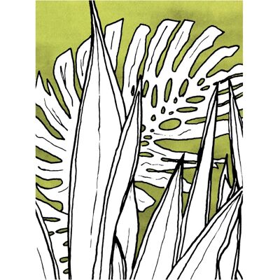 KOMAR - Dried Leaves - 40x50 cm - Grün - Poster KOMAR - Dried Leaves - 40x50 cm - Grün - Poster