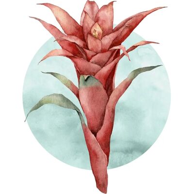 KOMAR - Funky Flower - 40x50 cm - Multicolore - Affiche KOMAR - Funky Flower - 40x50 cm - Multicolore - Affiche