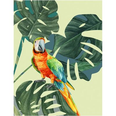 KOMAR - Green-Winged Macaw - 40x50 cm - Mehrfarbig - Poster KOMAR - Green-Winged Macaw - 40x50 cm - Mehrfarbig - Poster