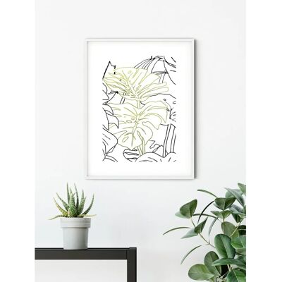 KOMAR - Monstera Borsigiana - 40x50 cm - grün - Poster KOMAR - Monstera Borsigiana - 40x50 cm - grün - Poster