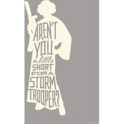 Affiche murale KOMAR - Star Wars Silhouette Quotes Leia - 40x50cm - Publicité Affiche murale KOMAR - Star Wars Silhouette Quotes Leia - 40x50cm - Publicité