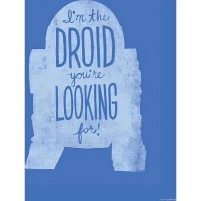 KOMAR R2D2 Star Wars Murale - 40x50cm - Coloré - Publicité KOMAR R2D2 Star Wars Murale - 40x50cm - Coloré - Publicité
