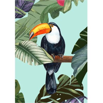 KOMAR - Toco Toucan - Poster KOMAR - Toco Toucan - Poster