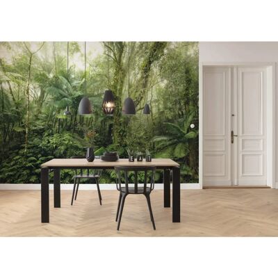KOMAR Papel Pintado de Naturaleza Verde - 350x250 cm - Papel Pintado KOMAR Papel Pintado de Naturaleza Verde - 350x250 cm - Papel Pintado