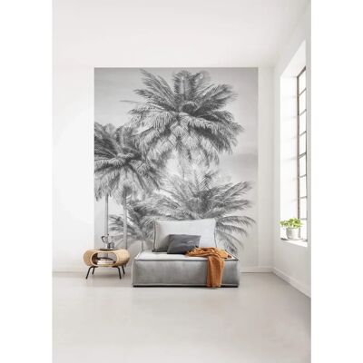 KOMAR Cocco Vlies Tapete - Hochwertiges Nicht-Gewebe - 200x250cm - Wanddekoration KOMAR Cocco Vlies Tapete - Hochwertiges Nicht-Gewebe - 200x250cm - Wanddekoration
