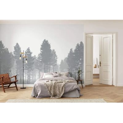 KOMAR Carta da Parati Natura Grigia - 350x250cm - Vlies KOMAR Carta da Parati Natura Grigia - 350x250cm - Vlies
