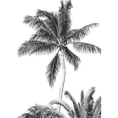 KOMAR Retro Palm Self-adhesive Wall Mural - Comic Style KOMAR Retro Palm Self-adhesive Wall Mural - Comic Style