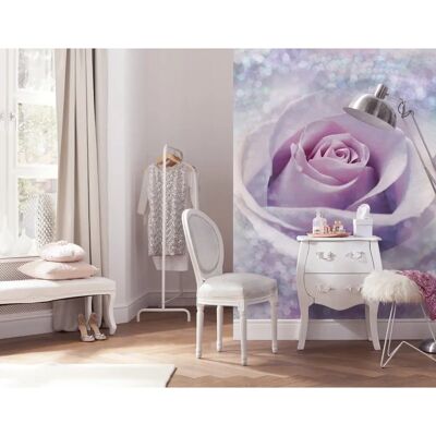 KOMAR Papel Pintado Delicate Rose - Flores, Azul y Blanco - 200x260cm KOMAR Papel Pintado Delicate Rose - Flores, Azul y Blanco - 200x260cm