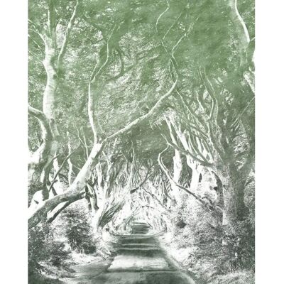 Carta da parati KOMAR Alley Graphite - 200x250 cm Vliestapete Carta da parati KOMAR Alley Graphite - 200x250 cm Vliestapete