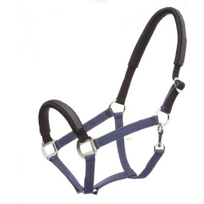 Halter de sécurité Kavalkade KavalLastic - Élastique, Rembourrage amovible - Publicité Halter de sécurité Kavalkade KavalLastic - Élastique, Rembourrage amovible - Publicité