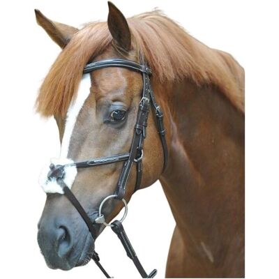 KAVALKADE Diandro Pferdegeschirr - Verstellbar, Leder, Schwarz/Braun KAVALKADE Diandro Pferdegeschirr - Verstellbar, Leder, Schwarz/Braun