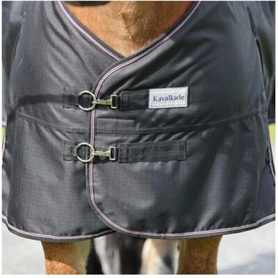 Kavalkade Draft Horse Wasserdichte Decke - Pferdedecke Kavalkade Draft Horse Wasserdichte Decke - Pferdedecke