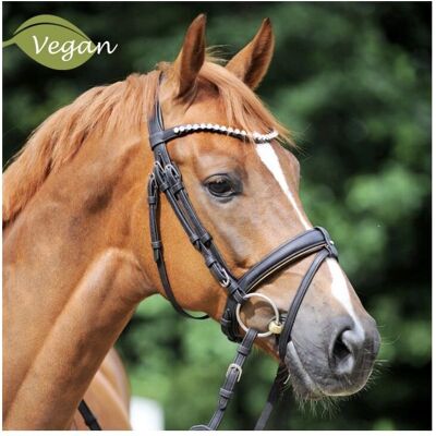 KAVALKADE Équitation Vegan en Liège - Réglable, Durable, Élégant - Publicité KAVALKADE Équitation Vegan en Liège - Réglable, Durable, Élégant - Publicité