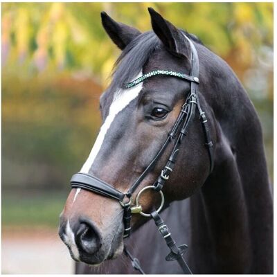 Kavalkade Sparkle Grün Pferde Stirnband - Horse Browband Kavalkade Sparkle Grün Pferde Stirnband - Horse Browband