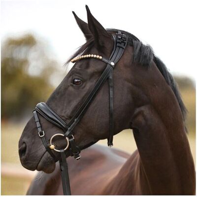 KAVALKADE Lederpferdebrille - Elegant, Verstellbar, Europäisches Leder KAVALKADE Lederpferdebrille - Elegant, Verstellbar, Europäisches Leder
