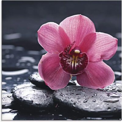 ARTLAND - Stillleben mit Kiesel und Orchidee - Glass picture ARTLAND - Stillleben mit Kiesel und Orchidee - Glass picture