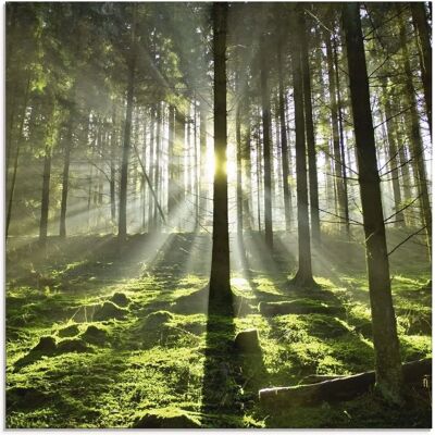 ARTLAND Wald im Gegenlicht - Glasbild ARTLAND Wald im Gegenlicht - Glasbild