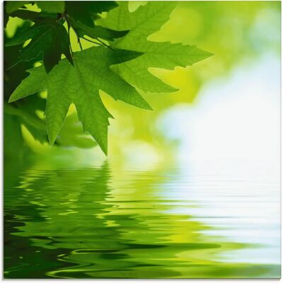 ARTland - Grüne Blätter reflektieren im Wasser - Glass wall art ARTland - Grüne Blätter reflektieren im Wasser - Glass wall art