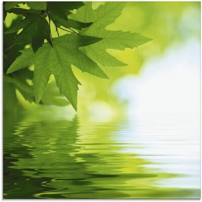 ARTland - Grüne Blätter reflektieren im Wasser - Glass wall art ARTland - Grüne Blätter reflektieren im Wasser - Glass wall art