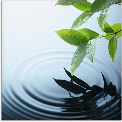 ARTland - Pflanze und Wasser - blau - 20x20 - Glass picture ARTland - Pflanze und Wasser - blau - 20x20 - Glass picture