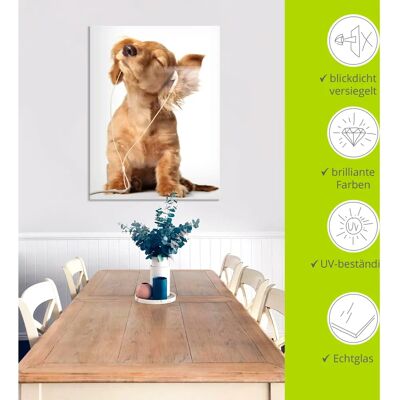 ARTLAND - Junger Hund hört Musik über Kopfhörer - Glasbild ARTLAND - Junger Hund hört Musik über Kopfhörer - Glasbild