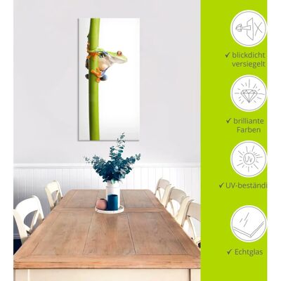 ARTland - Frosch - Weiß - 20x20 cm - Glass picture ARTland - Frosch - Weiß - 20x20 cm - Glass picture