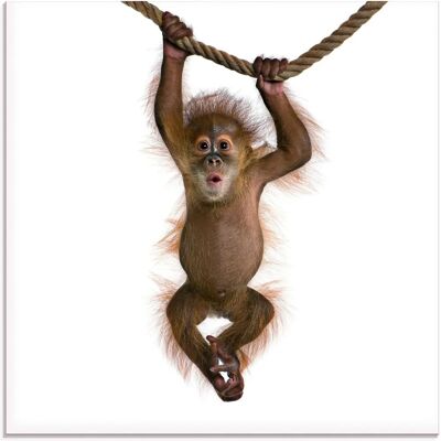 ARTland - Baby Sumatra Orang Utan - Weiß - 20x20 cm - Glass art ARTland - Baby Sumatra Orang Utan - Weiß - 20x20 cm - Glass art