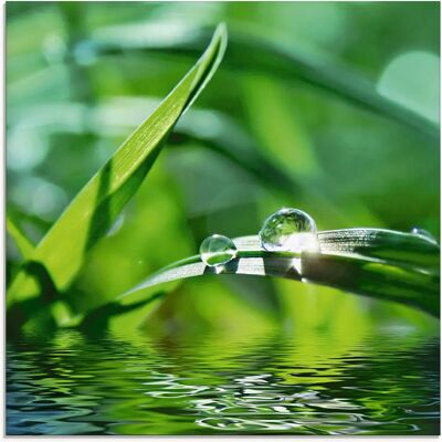 ARTland - Grüner Hintergrund mit Gras - Grün - 30x30 cm - Glass picture ARTland - Grüner Hintergrund mit Gras - Grün - 30x30 cm - Glass picture
